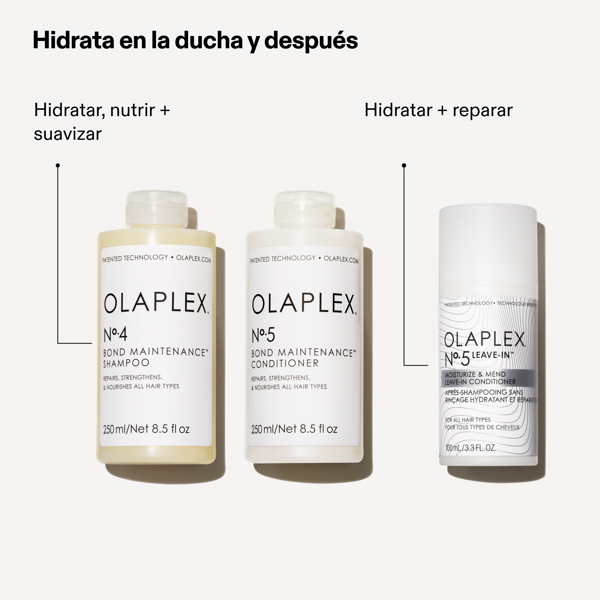 Leave In Moisturize &Mend Condition OLAPLEX N*5 (100 ML)